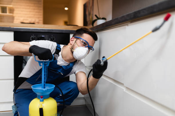 Best Mosquito Control Services  in Northfield, NJ