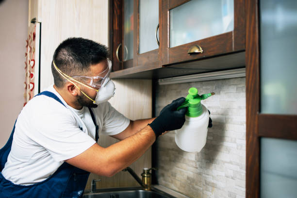Insect Control in Northfield, NJ