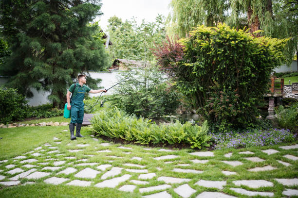 Best Residential Pest Control  in Northfield, NJ