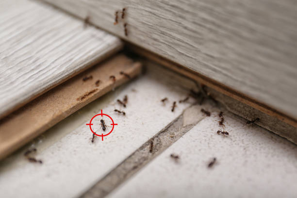 Pest Control Cost in Northfield, NJ