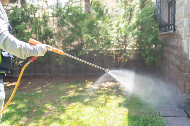 Bird Control in Northfield, NJ