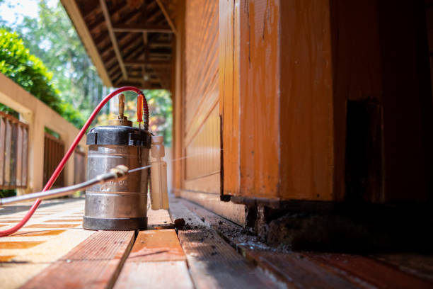 Best Cockroach Control Services  in Northfield, NJ