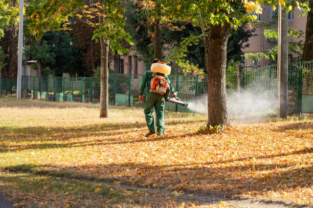 Flea Control Services in Northfield, NJ
