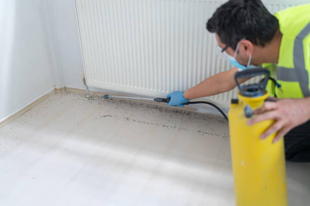 Best Pest Inspection Near Me  in Northfield, NJ